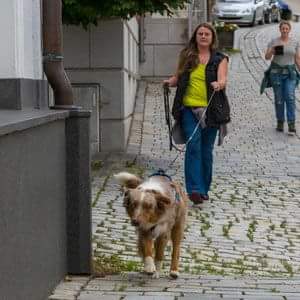 Rezensionen über Hundeschule Roding in Cham - Hundeschule