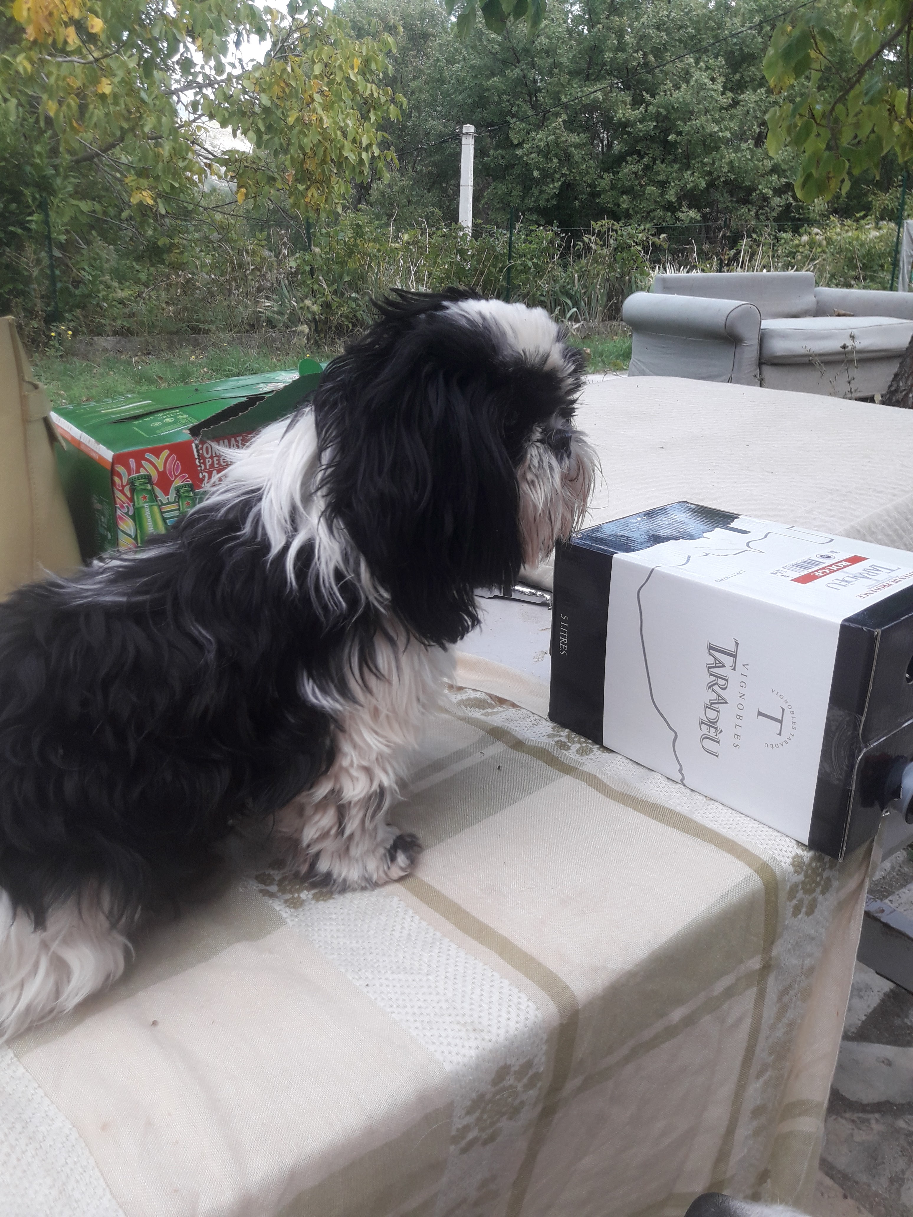 Photo n° 1 de l'avis de claude.u fait le 23/10/2019 à 15:18