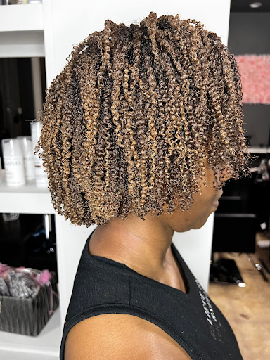 Hair Salon «Earnestly Natural Hair Care», reviews and photos, 10810 Emerald Club Ct, Raleigh, NC 27617, USA