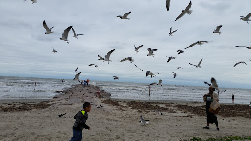 Amusement Center «Galveston Go Kart And Fun Center», reviews and photos, 9402 Seawall Blvd, Galveston, TX 77554, USA