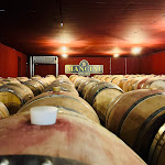 Photo n°4 de l'avis de Francesco.a fait le 31/03/2024 à 14:37 sur le  Vineria con Cucina in Fattoria Mancini à Pesaro