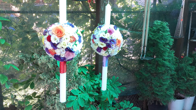 Opinii despre Florăria Palanca în Palanca - Florărie