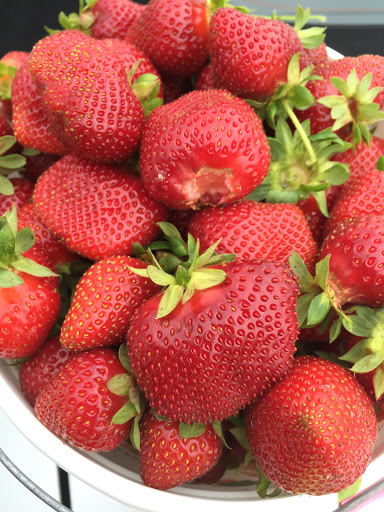 Lilley Farms Strawberries