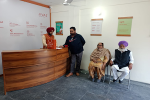 Jiva Ayurveda Clinic - Ludhiana, Punjab (Ayurvedic Doctor in Ludhiana | Ayurvedic Clinic) image