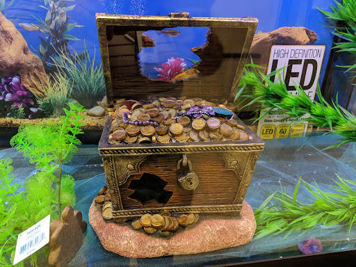 Pet Supply Store «PetSmart», reviews and photos, 47142 Michigan Ave, Canton, MI 48188, USA