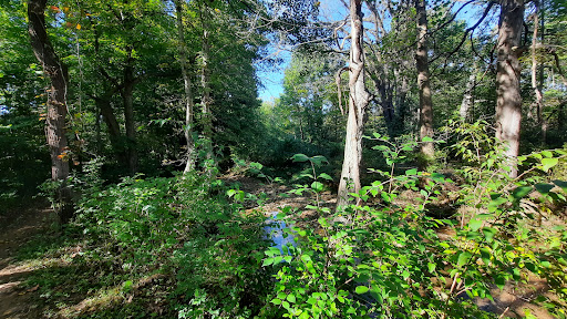 Nature Preserve «Elizabethtown Nature Park», reviews and photos, 1900 Ring Rd, Elizabethtown, KY 42701, USA