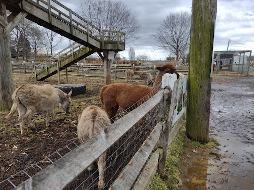 Farm «Alstede Farms», reviews and photos, 1 Alstede Farms Ln, Chester, NJ 07930, USA