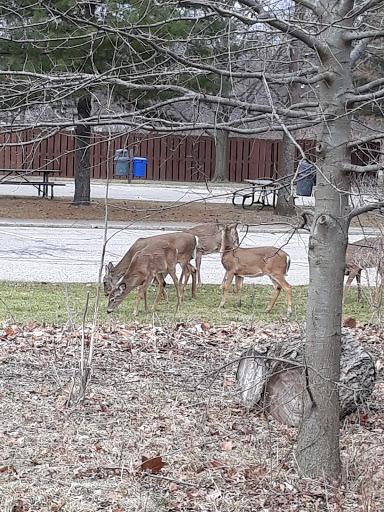 Community Center «Garfield Park Nature Center», reviews and photos, 11350 Broadway Ave, Garfield Heights, OH 44125, USA