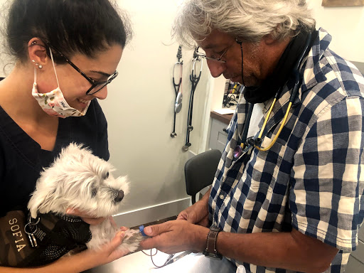 Gilmour Veterinary Services Pointe-Claire Allan Gilmour Veterinarian image