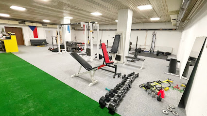 Strong Gym - Tanvaldská 345, 463 11 Liberec-Vratislavice nad Nisou, Czechia