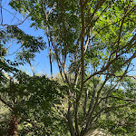 Photo n°1 de l'avis de Sara.i fait le 07/08/2022 à 22:16 sur le  Monte da Provença - Hotel Rural à Elvas