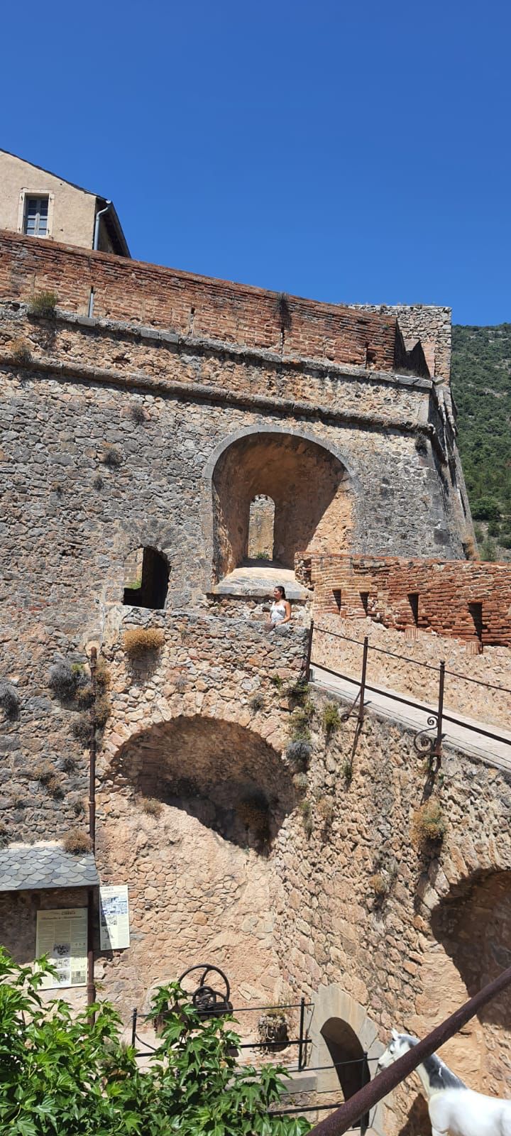 Photo n° 3 de l'avis de Fadi.l fait le 04/08/2023 à 06:01