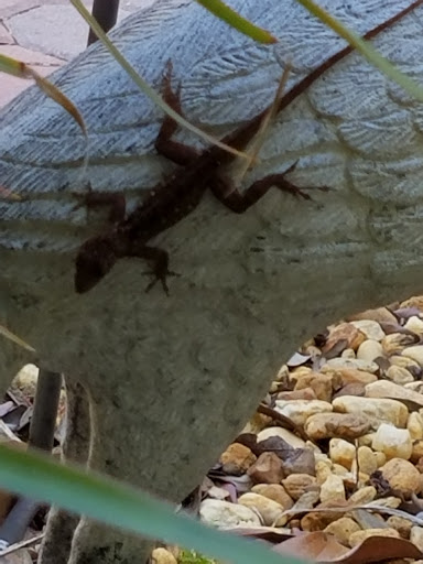 Golf Course «The Tides Golf Club», reviews and photos, 11832 66th Ave N, Seminole, FL 33772, USA