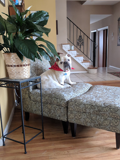 Pet Supply Store «PetSmart», reviews and photos, 1331 Nixon Dr, Moorestown, NJ 08057, USA