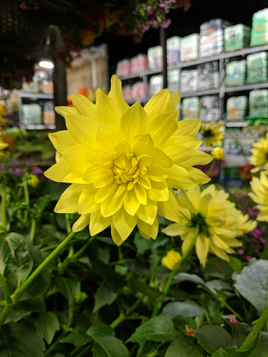 Home Improvement Store «The Home Depot», reviews and photos, 229 Hartford Ave, Bellingham, MA 02019, USA