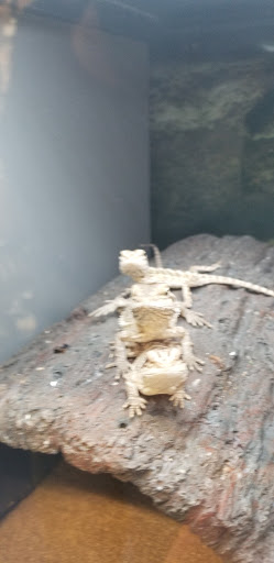 Pet Supply Store «Petco Animal Supplies», reviews and photos, 2565 NE 10th Ct, Homestead, FL 33035, USA