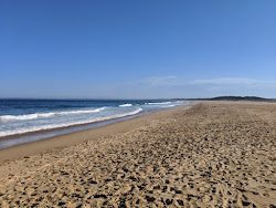 Foto di Wollumboola Beach con molto pulito livello di pulizia