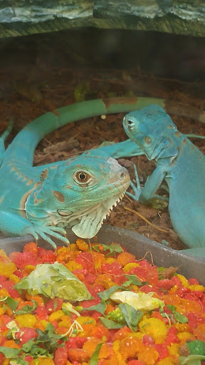 Pet Supply Store «Petco Animal Supplies», reviews and photos, 7400 Rivers Ave z, North Charleston, SC 29406, USA