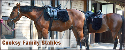 Cooksy Family Stables