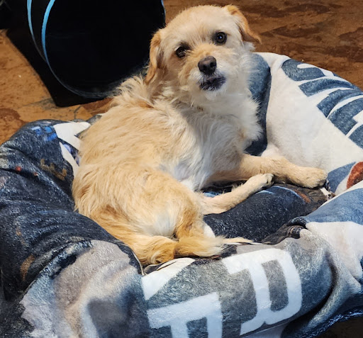 Veterinary Medical Center image