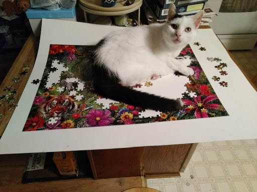 Home Goods Store «Dollar General», reviews and photos, 2649 Main St, Whitney Point, NY 13862, USA