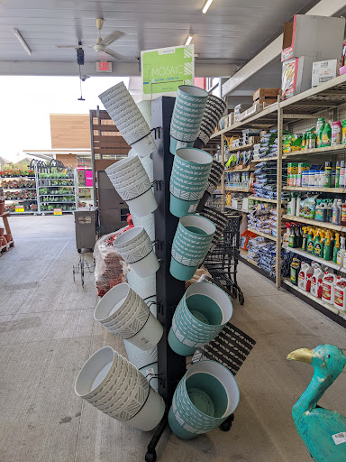 Grocery Store «H-E-B Grocery», reviews and photos, 20311 Champion Forest Dr, Spring, TX 77379, USA