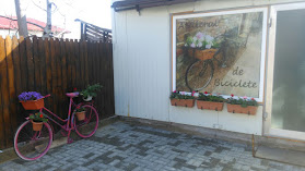 Atelierul de biciclete Buzau