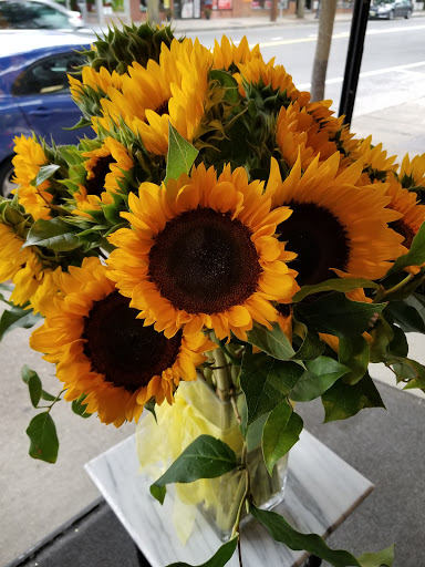 Florist «S. F. Falconer Florist, Inc.», reviews and photos, 8 S Maryland Ave, Port Washington, NY 11050, USA