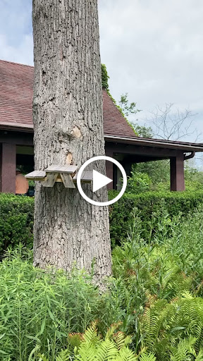 Golf Club «Glencoe Golf Club», reviews and photos, 621 Westley Rd, Glencoe, IL 60022, USA