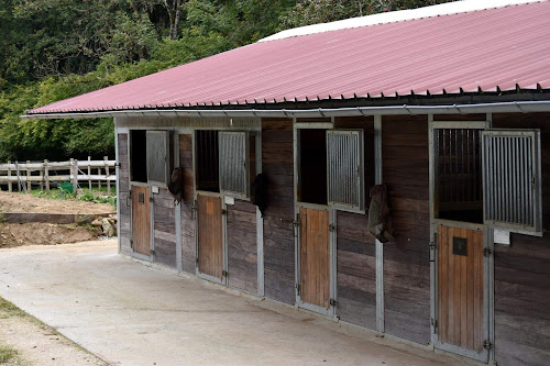 Centre équestre Les Ecuries du Bois d'Amont Fillière