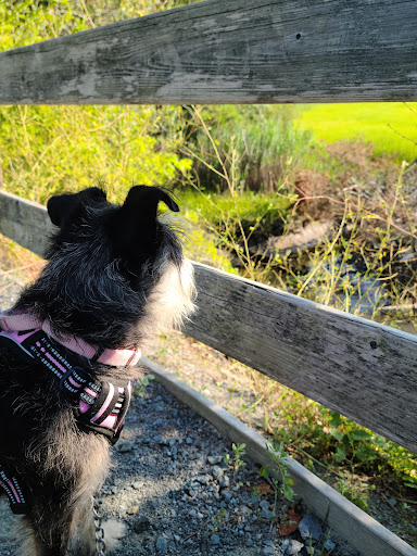 Park «Junction & Breakwater Trailhead», reviews and photos, Junction and Breakwater Trail, Rehoboth Beach, DE 19971, USA