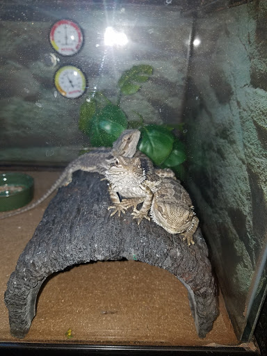 Pet Supply Store «Petco Animal Supplies», reviews and photos, 2350 Central Park Ave, Yonkers, NY 10710, USA