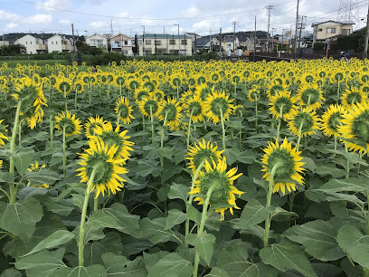 座間市立西中学校