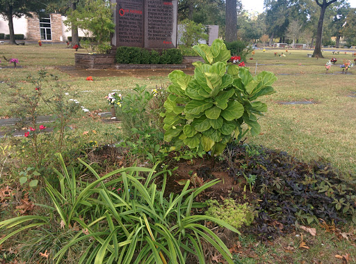 Cemetery «Woodlawn Funeral Home & Cemetery», reviews and photos, 1101 Antoine Dr, Houston, TX 77055, USA