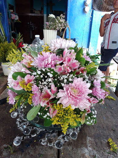 Florería Lupita – Villahermosa