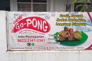 Tahu Susu Gopong image