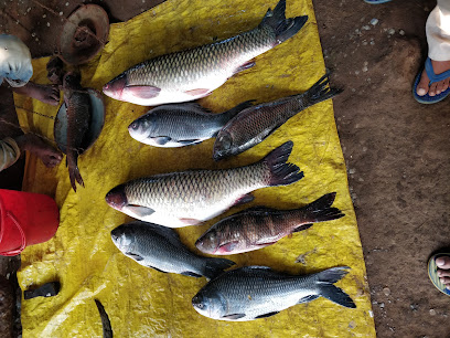 Gadchiroli Fish Market