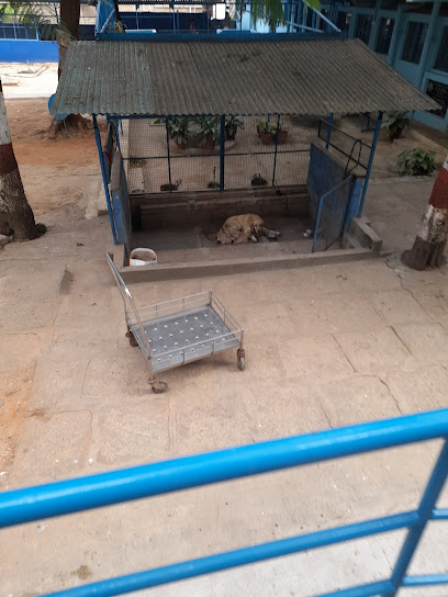 Karuna Animal Shelter - Vaterinary College Campus, Near-BBMP Help Center,  Hebbal, Bengaluru, Karnataka, IN - Zaubee
