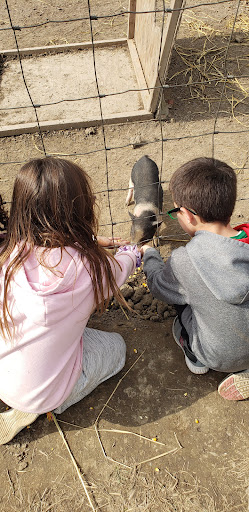 Christmas Tree Farm «Piney Acres», reviews and photos, 1115 E 1000 N, Fortville, IN 46040, USA