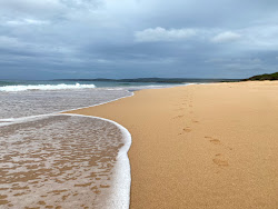 Papoeyku Beach'in fotoğrafı imkanlar alanı
