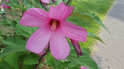 Public Golf Course «Ridge Top Golf Course», reviews and photos, 7441 Tower Rd, Medina, OH 44256, USA