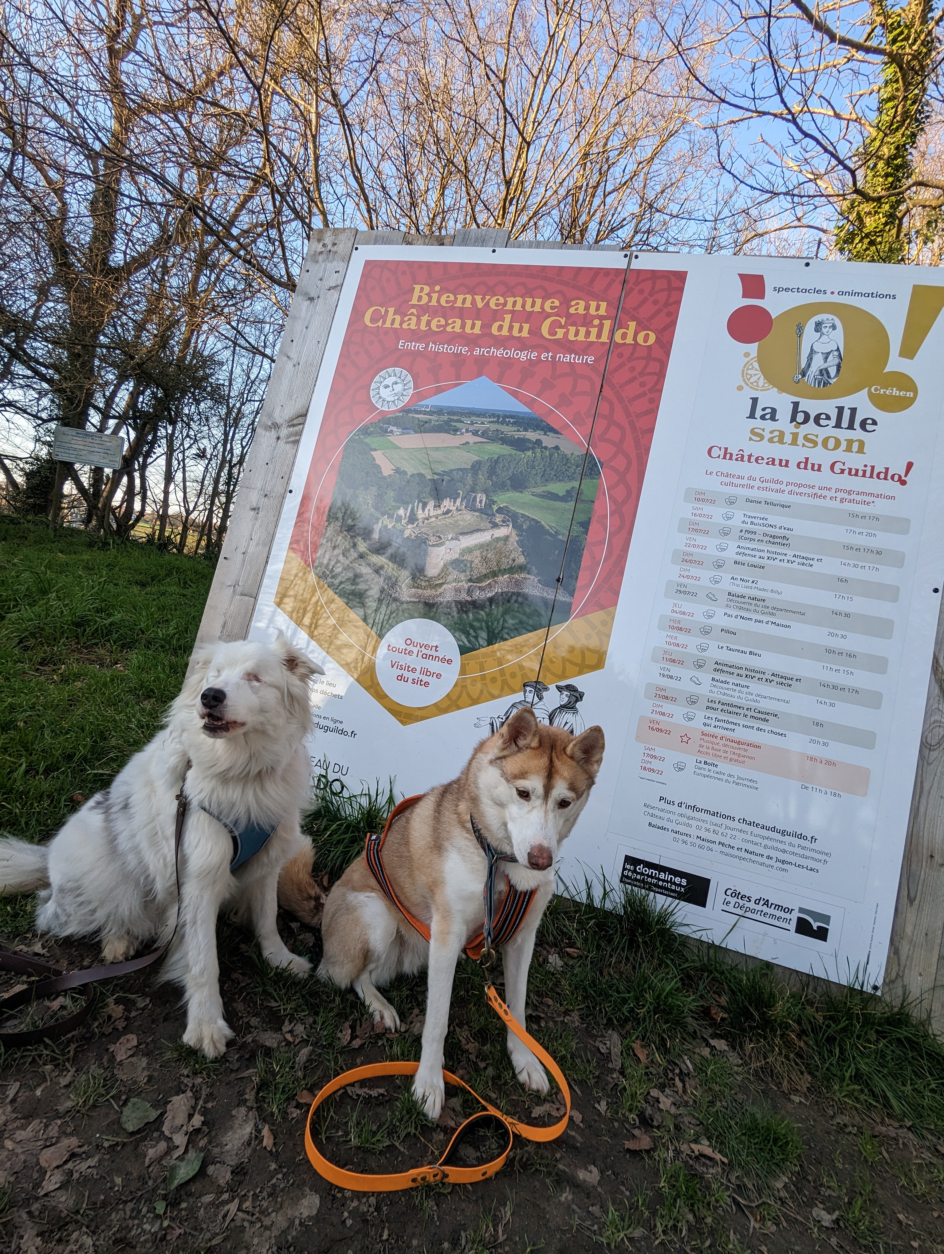Photo n° 2 de l'avis de Jersey.h fait le 15/02/2023 à 04:57
