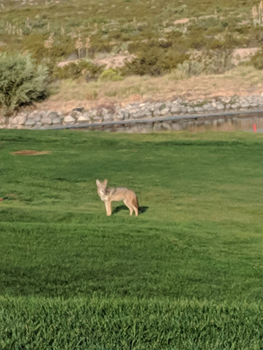 Golf Club «Red Hawk Golf Club», reviews and photos, 7502 Red Hawk Golf Road, Las Cruces, NM 88012, USA