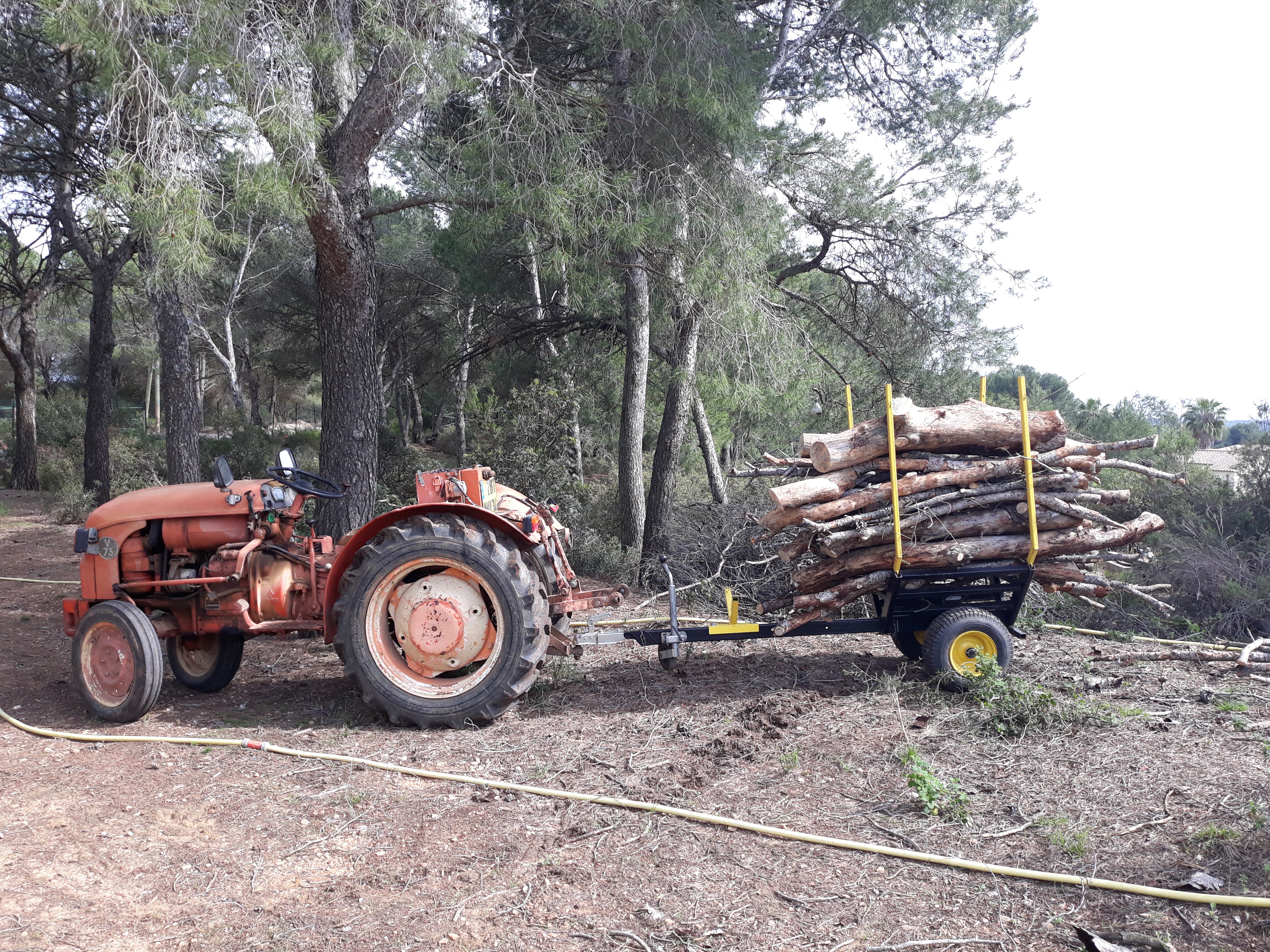 Photo n° 3 de l'avis de Corinne.e fait le 16/06/2020 à 15:05