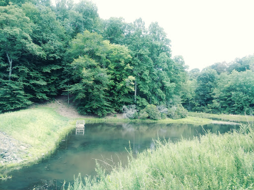 National Park «Prince William Forest Park», reviews and photos, 18170 Park Entrance Rd, Triangle, VA 22172, USA
