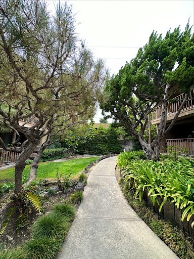 Wesley Kang San Gabriel Valley Realtor KW Executive image