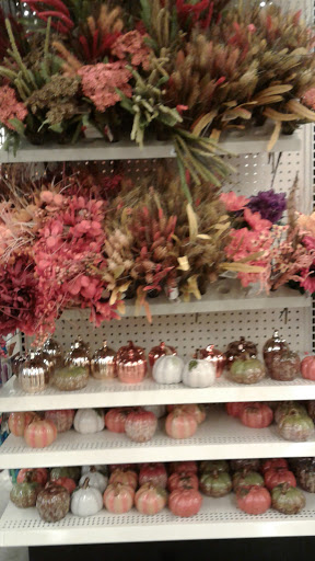 Dollar Store «Dollar Tree», reviews and photos, 447 W Ridge Pike, Limerick, PA 19468, USA