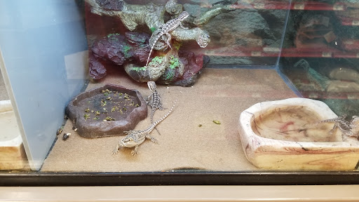 Pet Supply Store «Petco Animal Supplies», reviews and photos, 5938 Roswell Rd NE, Sandy Springs, GA 30328, USA