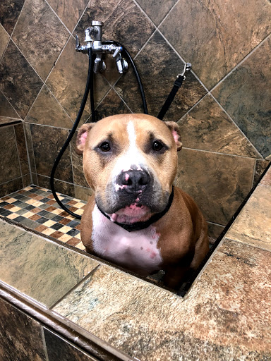 Pet Store «Pet Valu», reviews and photos, 2290 Central Park Ave, Yonkers, NY 10701, USA