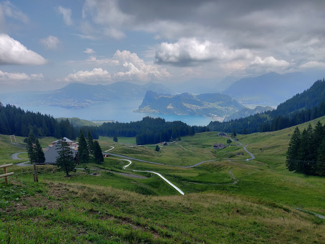 Rezensionen über Fräkigaudi Sommer - Rodelbahn in Kriens - Museum